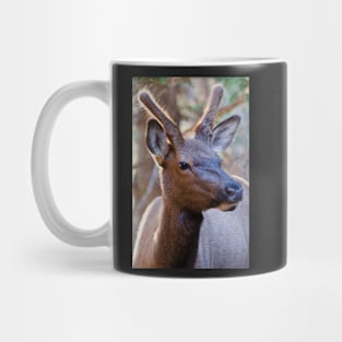 Yearling Mug